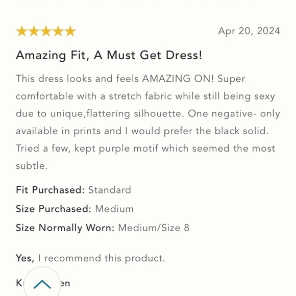 Anthropologie NWT THE CECILY FIT & FLARE SWEETHEART DRESS BY MAEVE size L - Picture 7 of 15